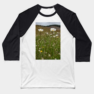 Roadside Flowers Baseball T-Shirt
